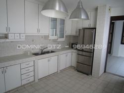 Emerald Hill Road (D9), Terrace #253330661